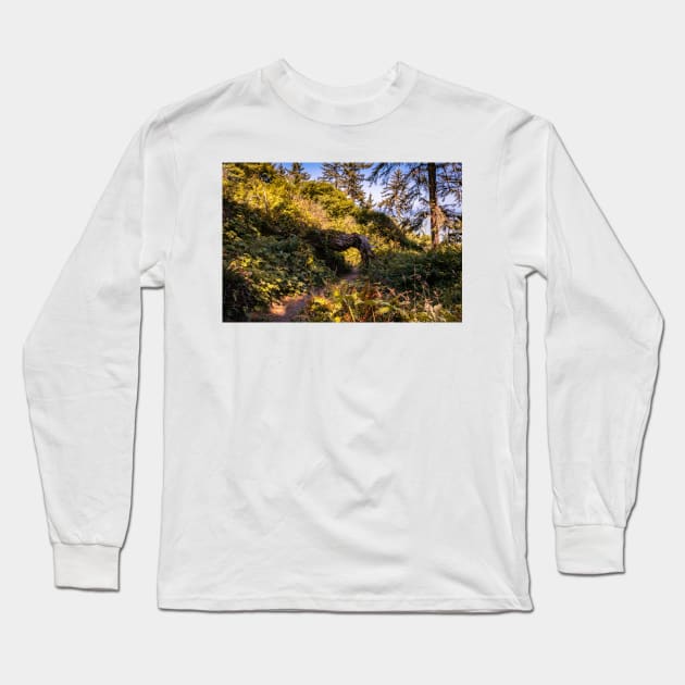 Hiking trail and a tree tunnel Long Sleeve T-Shirt by blossomcophoto